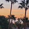 sheeba_queen88
