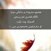 habunimntoyat.r5