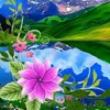 tabarakhussain887