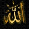 tariq.tariq.1
