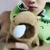 capyboyyyyyyy