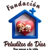fundacionpeluditosdedios