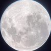 marlins_moon