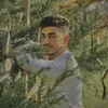 ali_ghabsha