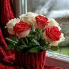 laith.711