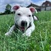 peewee_82