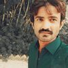manzoor2860
