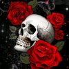 roxy.foxy13