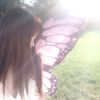 buthherfly