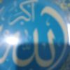 shahdadel585