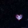 nane_024