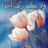 habibalmustafa6