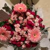 bobo_2680