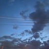 wxvgef9854