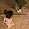᠈ ᷂هبهَہ࿔