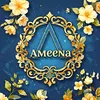 delice_amina