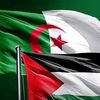 mouhamedsanfour68