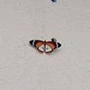 manola_hm