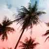surea_kurbanismailova