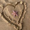 my.._..shell