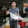 cagiong_lephong