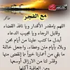 aicha7681