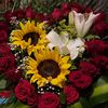 itz.mirellis