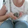 poiremasquee