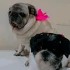 leehsantos464
