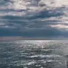 wn1wn1