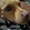 ponchi7777