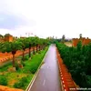 fatimafatifleurfatim