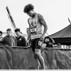 joe_donnelly34