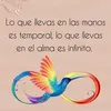 elanietalavera