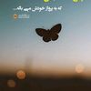 haji____belal