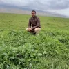 user253104836