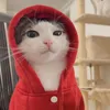 wodiloli