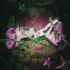 mr.swag58