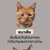 uoo_susan