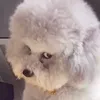 ng_c24