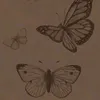 4.y17