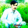 ahmadjani234