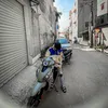 truongthuadoi
