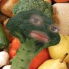 zaraxdino