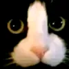 gatyotyjaston