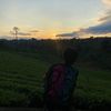 howdoyoushare