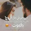 yasmeenalrifai