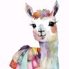 alpacasdontsweat