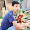 nguyenthanhlong299
