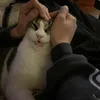 nauuuuuuuuuuuuuuuu0